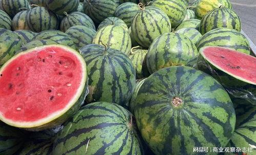 吃瓜网每日大赛 反差大赛51