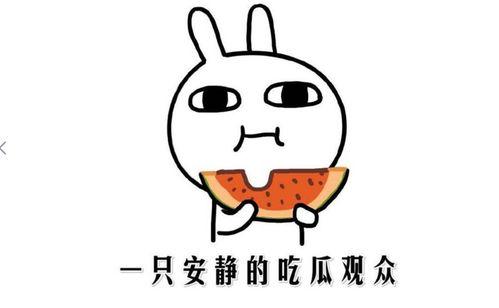 一起吃瓜是什么意思,网络热词背后的社交现象